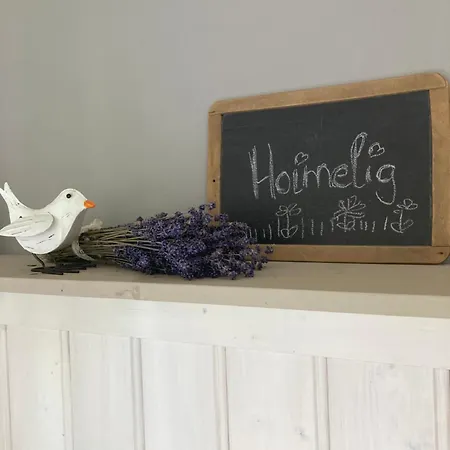 Апартаменты Bei Uns Im Allgaeu - Gaestewagen Hoimelig Mit Solardusche