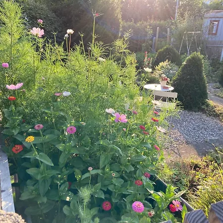 Bei Uns Im Allgaeu - Gaestewagen Hoimelig Mit Solardusche * Bad Wurzach